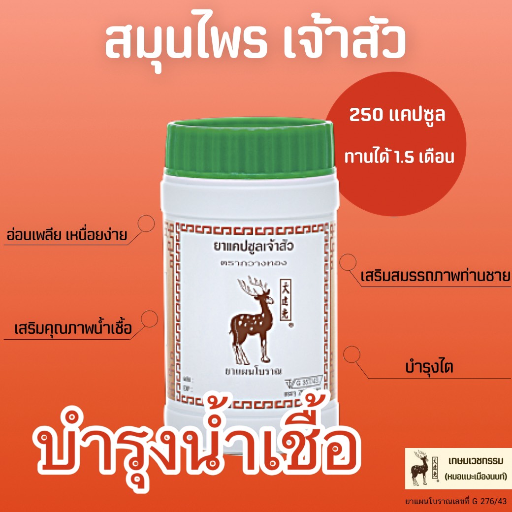 ยาแคปซูลเจ้าสัว